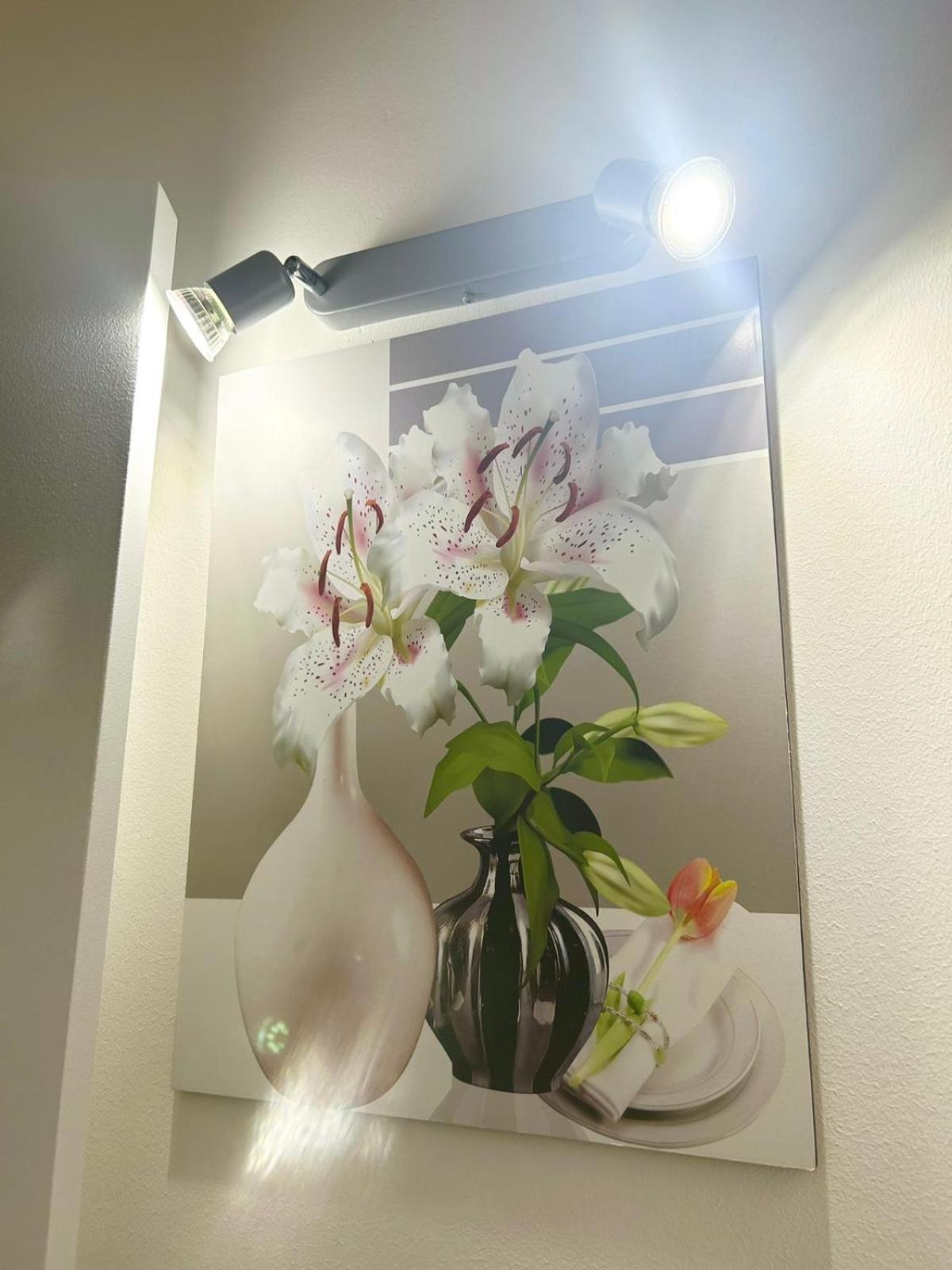 Apartments For Rent คาตาเนีย ภายนอก รูปภาพ